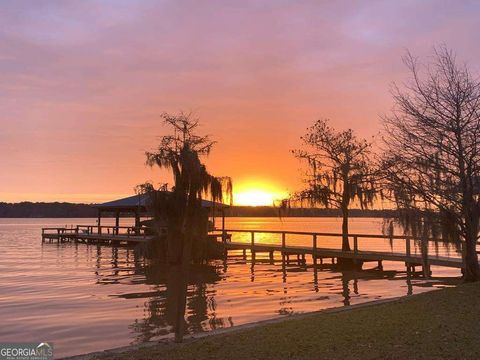 152 Cantey DR Cobb GA 31735