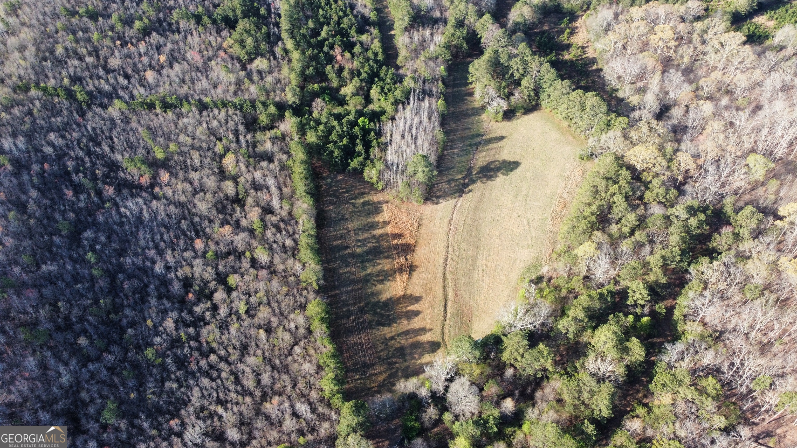374 Bingham RD SW