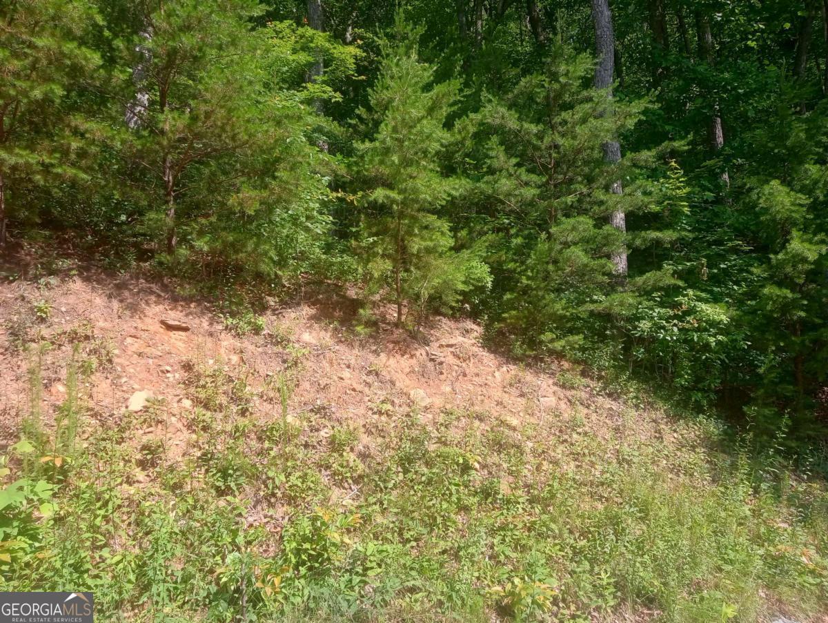 LT 233 Stone Cliff DR 233