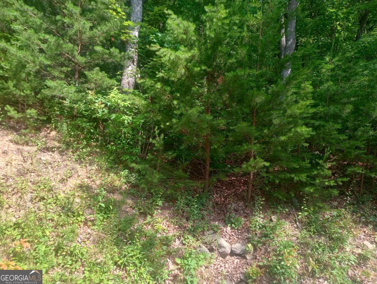 LT 233 Stone Cliff DR 233