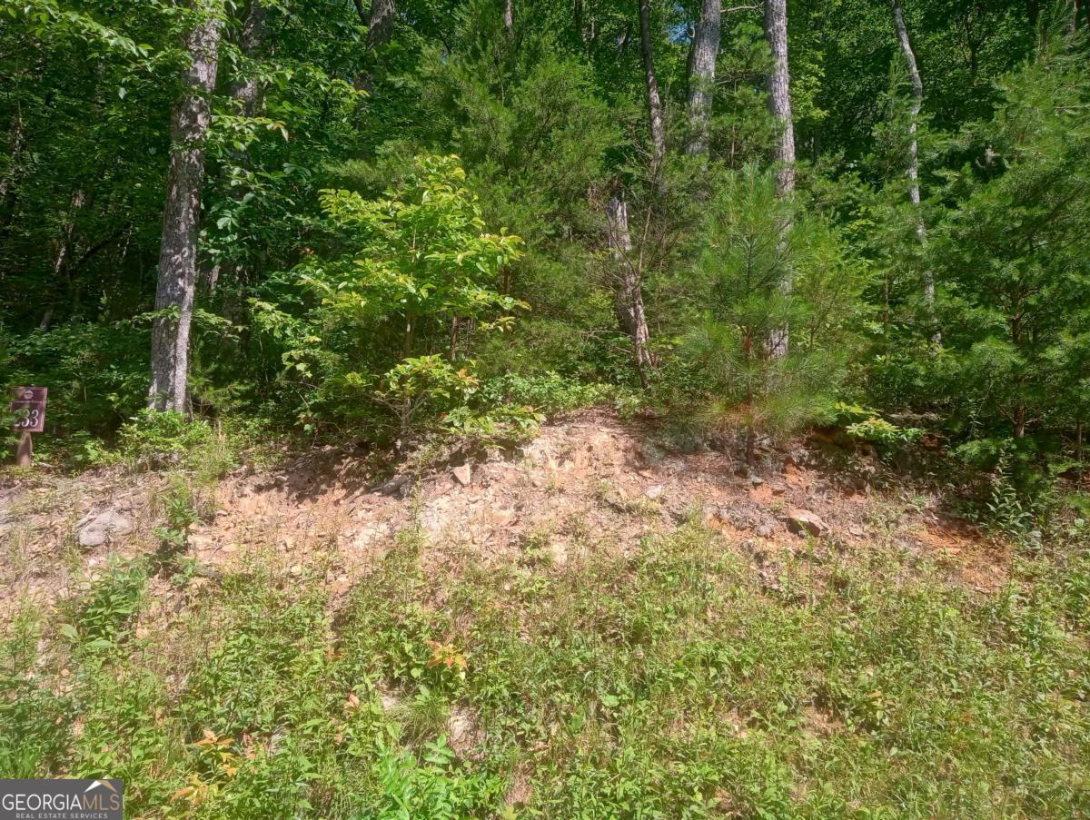 LT 233 Stone Cliff DR 233