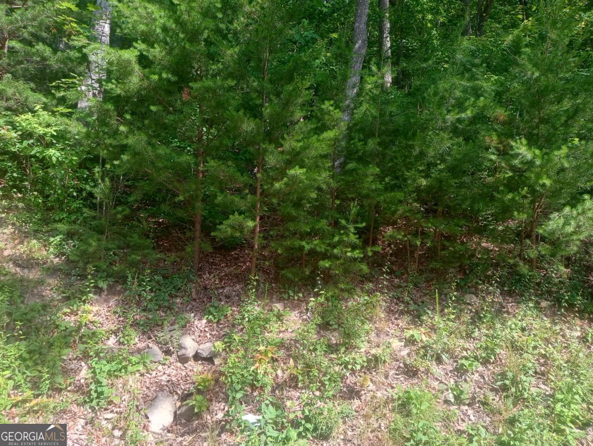 LT 233 Stone Cliff DR 233