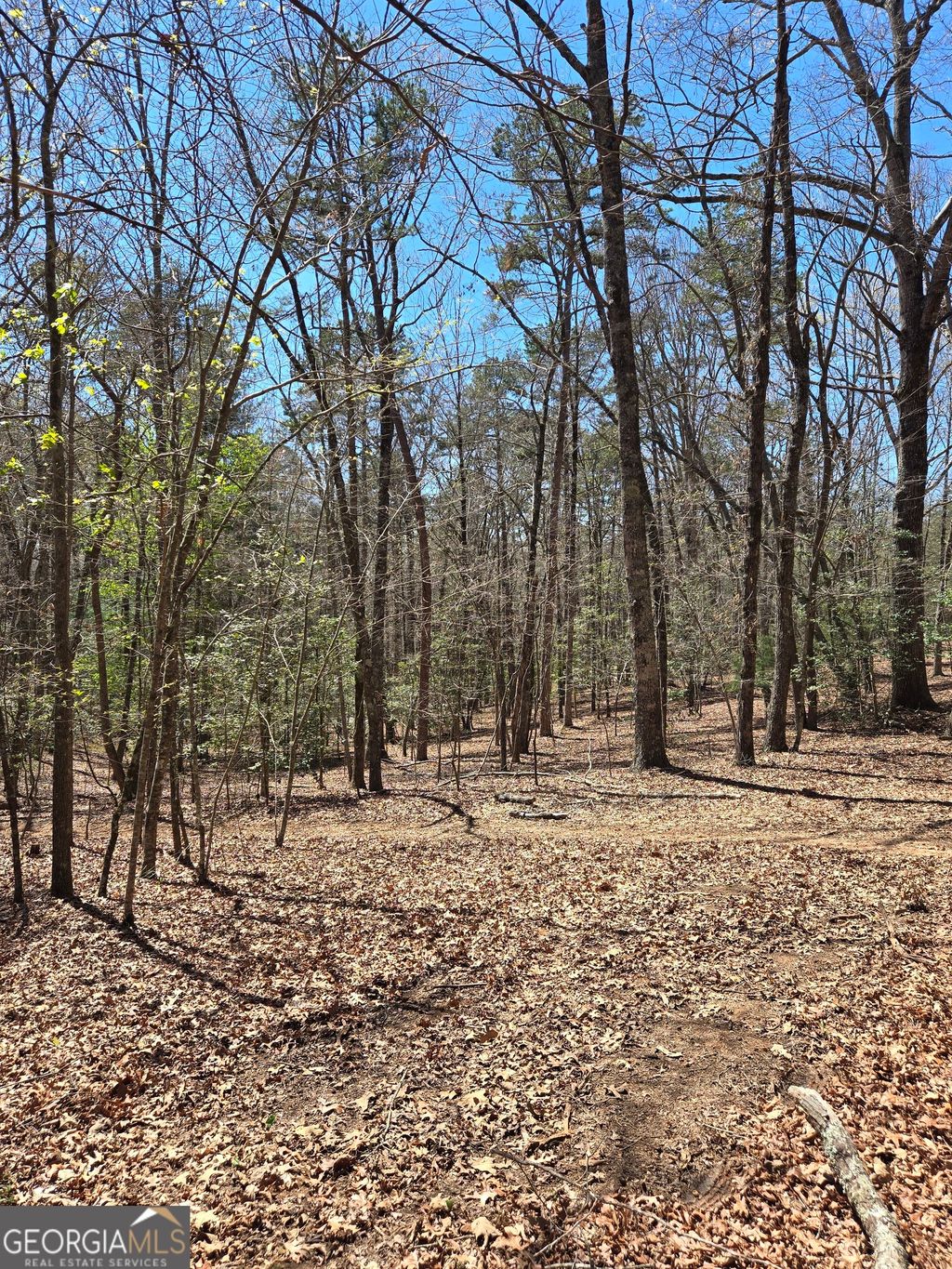 Photo of 95 Black Bear Trl, Cleveland, GA 30528 (MLS # 10770907)