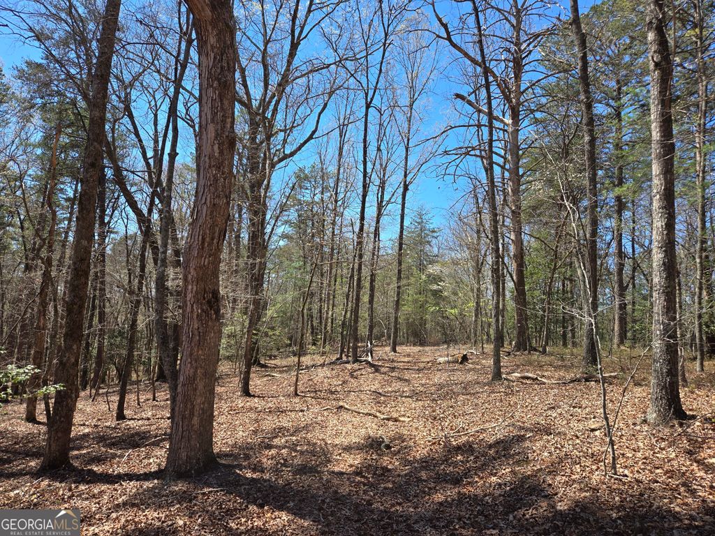 Photo of 95 Black Bear Trl, Cleveland, GA 30528 (MLS # 10770907)