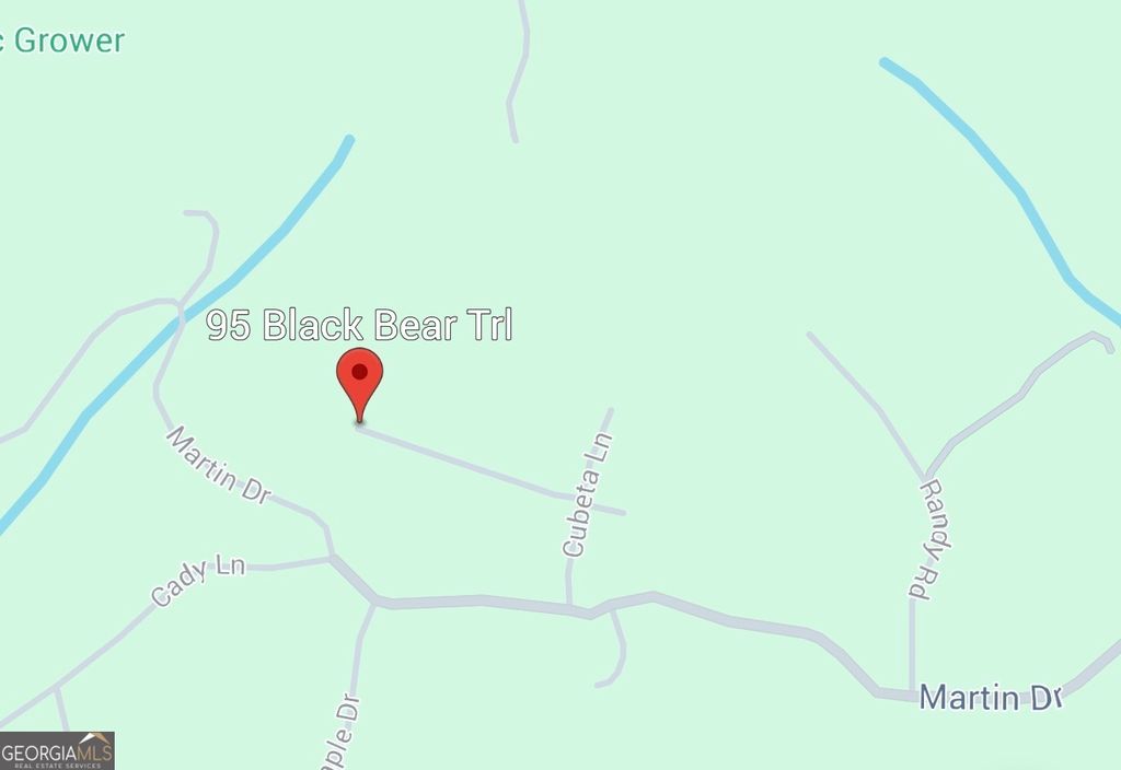 Photo of 95 Black Bear Trl, Cleveland, GA 30528 (MLS # 10770907)
