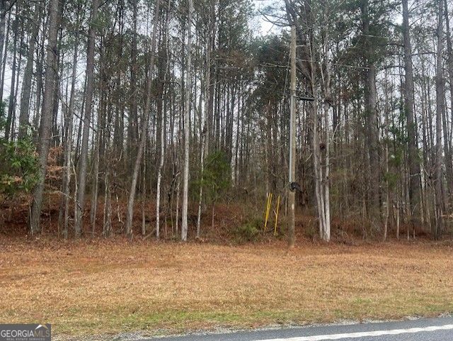Rare 3-Acre Land Opportunity on Cascade Palmetto Highway - Calling all builders, developers, and investors! This prime 3-acre parcel on Cascade Palmetto Highway in South Fulton is a rare opportunity in a high-demand area near Chattahoochee Hills and surrounded by sold-out developments. Situated directly across from 6160 Cascade Palmetto Hwy, this property offers privacy, endless possibilities, and no HOA restrictions. Enjoy the peaceful rural charm while being just minutes from Serenbe, South Fulton Parkway, and major conveniences. Whether you're looking to build a custom estate, develop a private retreat, or create an investment property, this land offers a unique chance to bring your vision to life.Opportunities like this don't last long-seize your chance to own a piece of South Fulton's booming real estate market. Call today for more details!