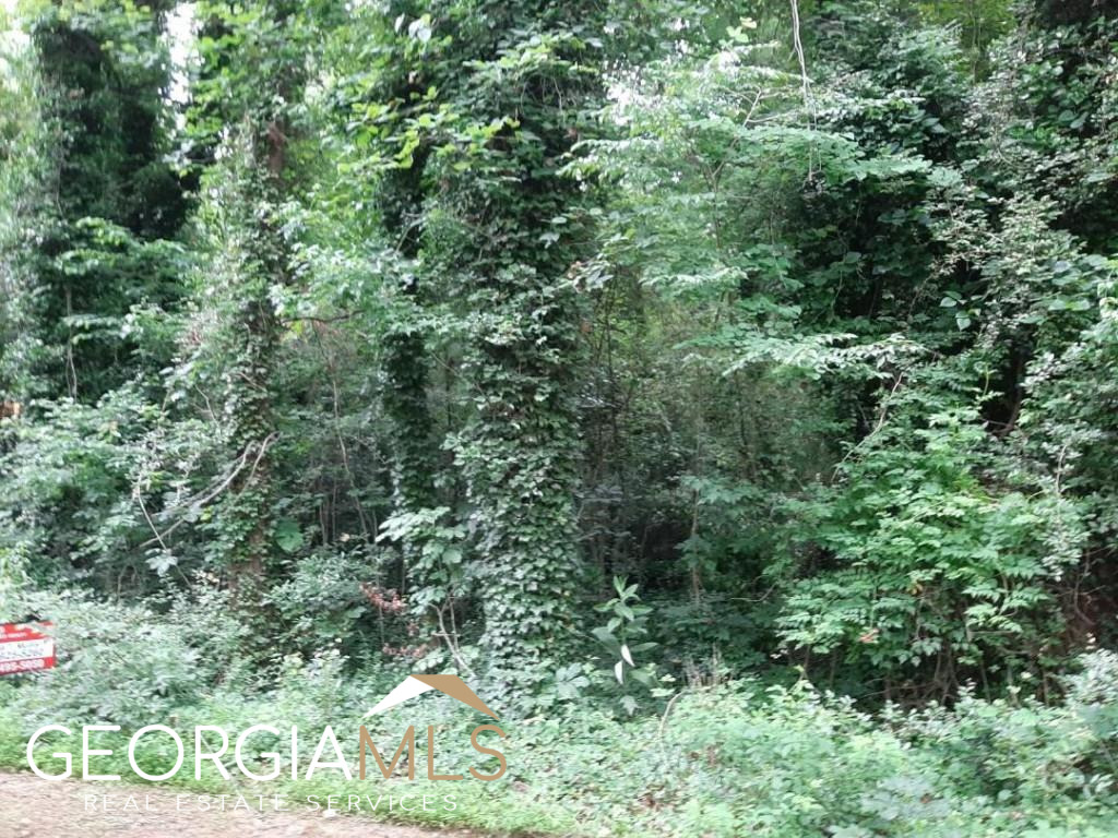 Lot is Located in a 96 acre ski lake community-APPROVED SEPTIC PERMIT FOR A 1 BEDROOM INCLUDE AND RECENT SURVEY INCLUDED.Neighborhood has a 96 acre lake, 3 parks, community pool, tennis courts, clubhouse, community garden and wildlife island. Backs up to a 100 acre passive Gwinnett County park for hiking.
