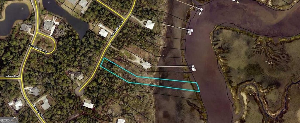 Photo of 211 Overlook Lane, Saint Marys, GA 31558 (MLS # 10872543)