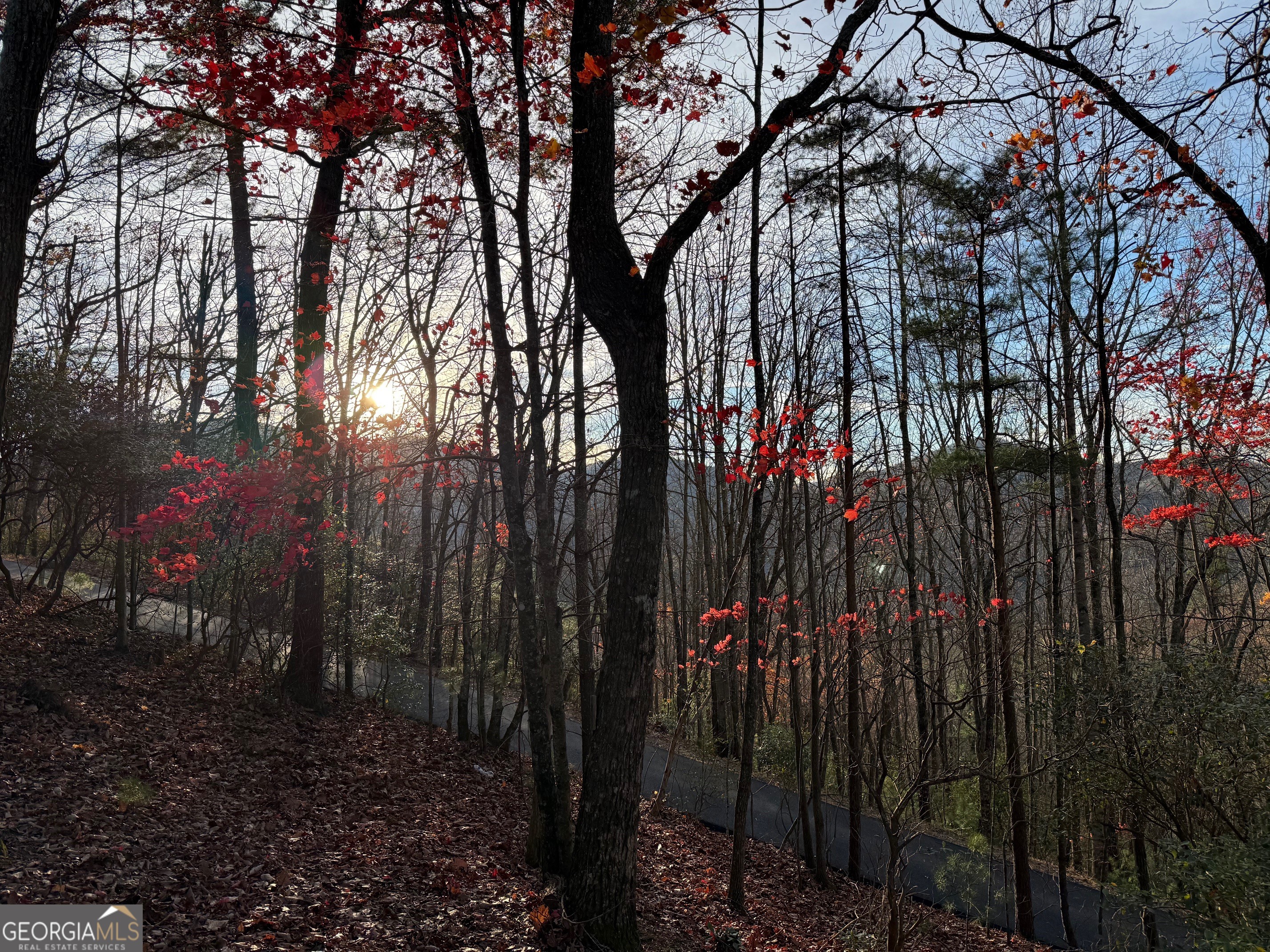 708 Wilson Mountain RD