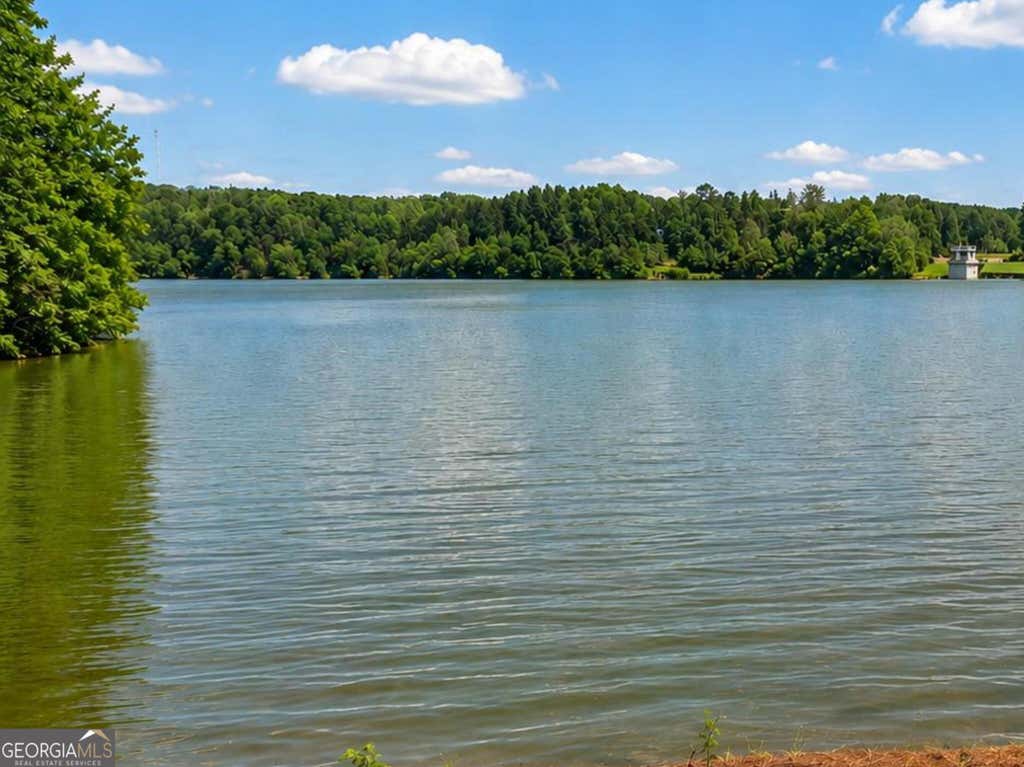 Photo of 79 Driftwood Court, Newnan, GA 30263 (MLS # 10791715)