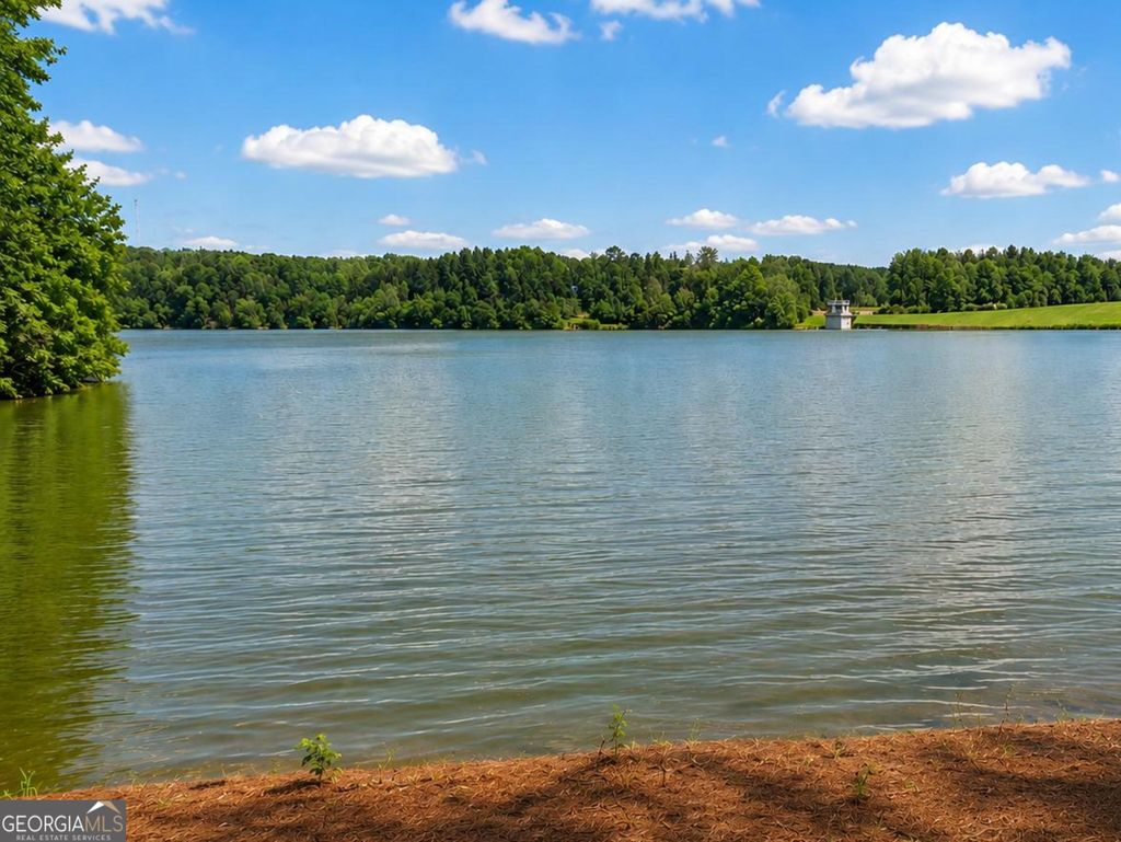 Photo of 79 Driftwood Court, Newnan, GA 30263 (MLS # 10791715)