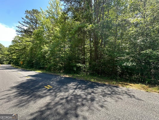 38 S CENTURY DR, MARTIN, GA 30557 - Image 2a423b2f005a5fd7793affd064b25474/2476105331