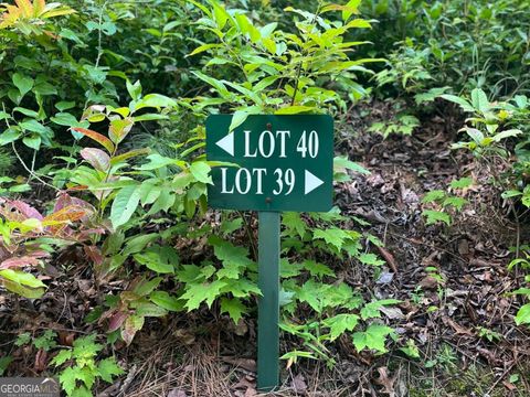 LOT 40 Anderson DR Clayton GA 30525