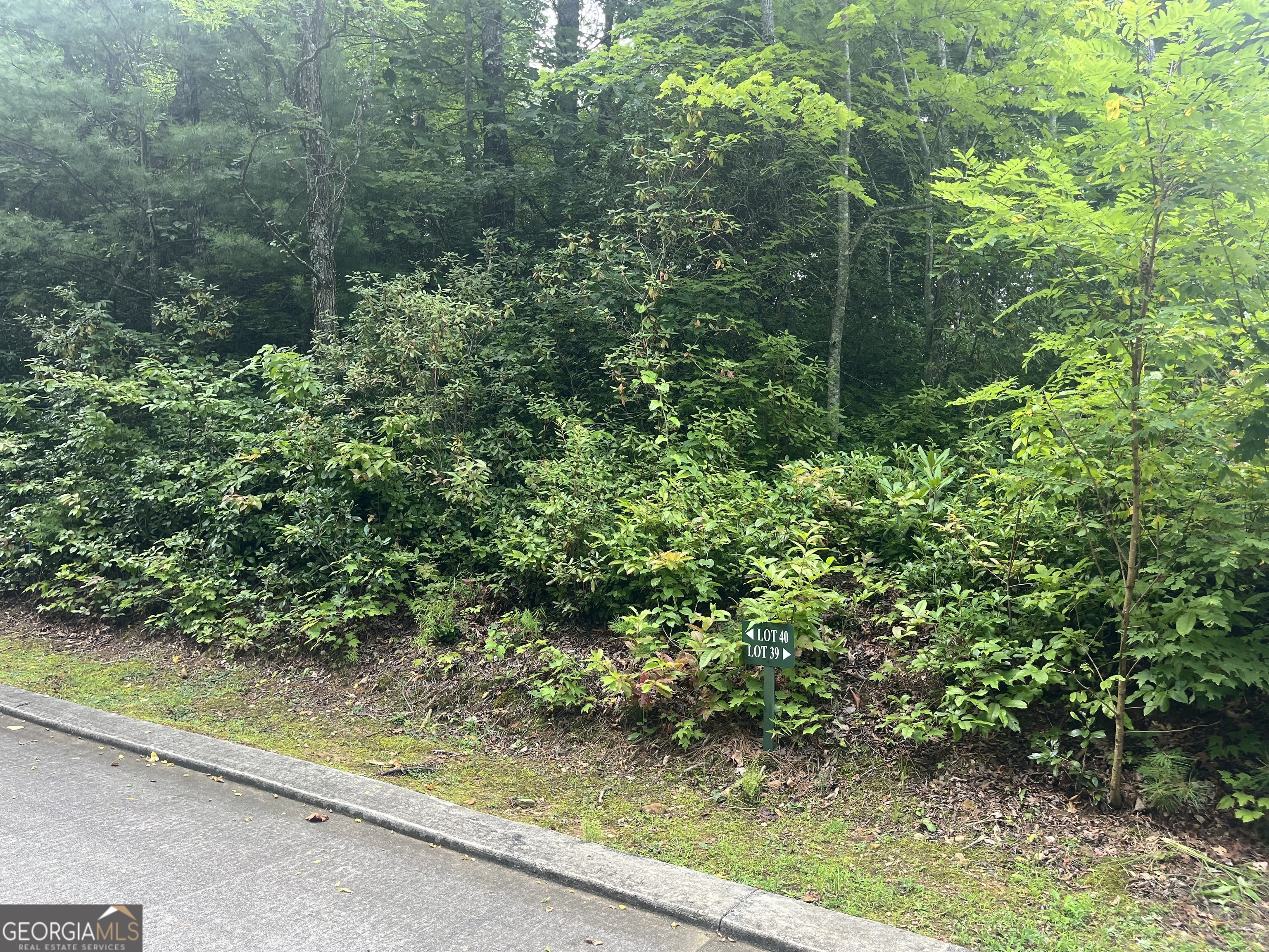 LOT 40 Anderson DR