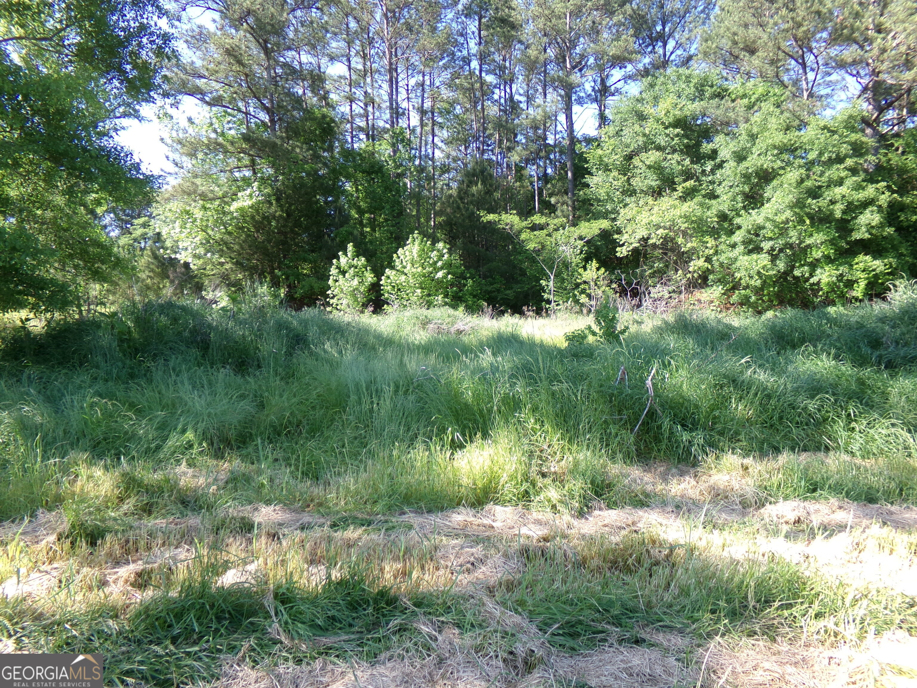 3905 Georgia Highway 138