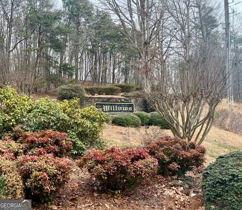 0 Willows Dr Cleveland GA 30528