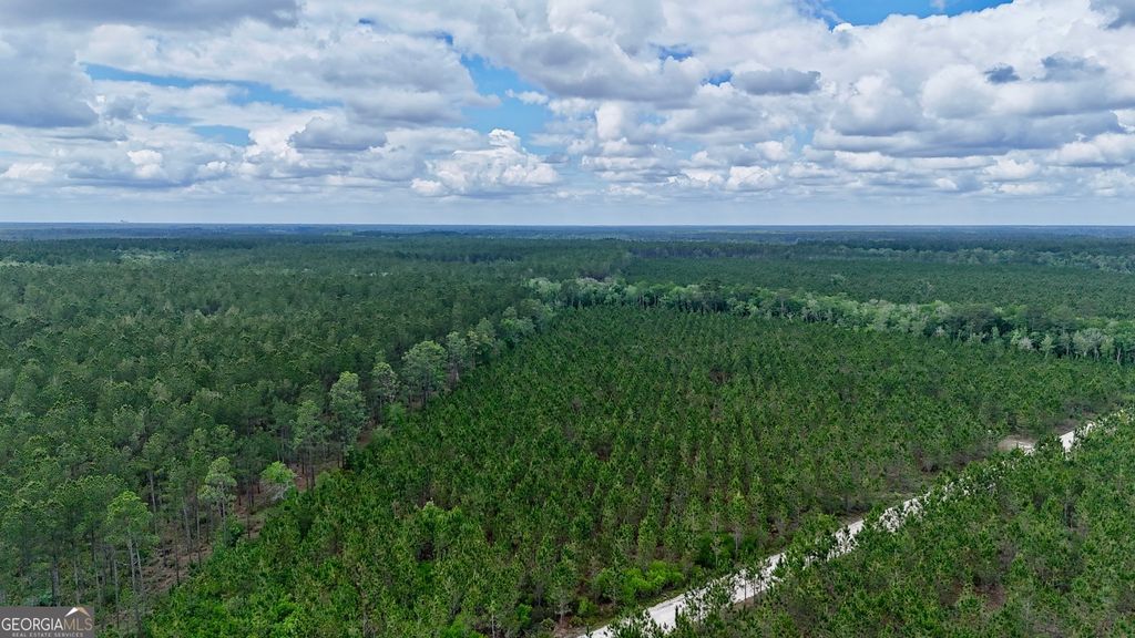 Photo of 20 Owens Road, Odum, GA 31555 (MLS # 10768673)