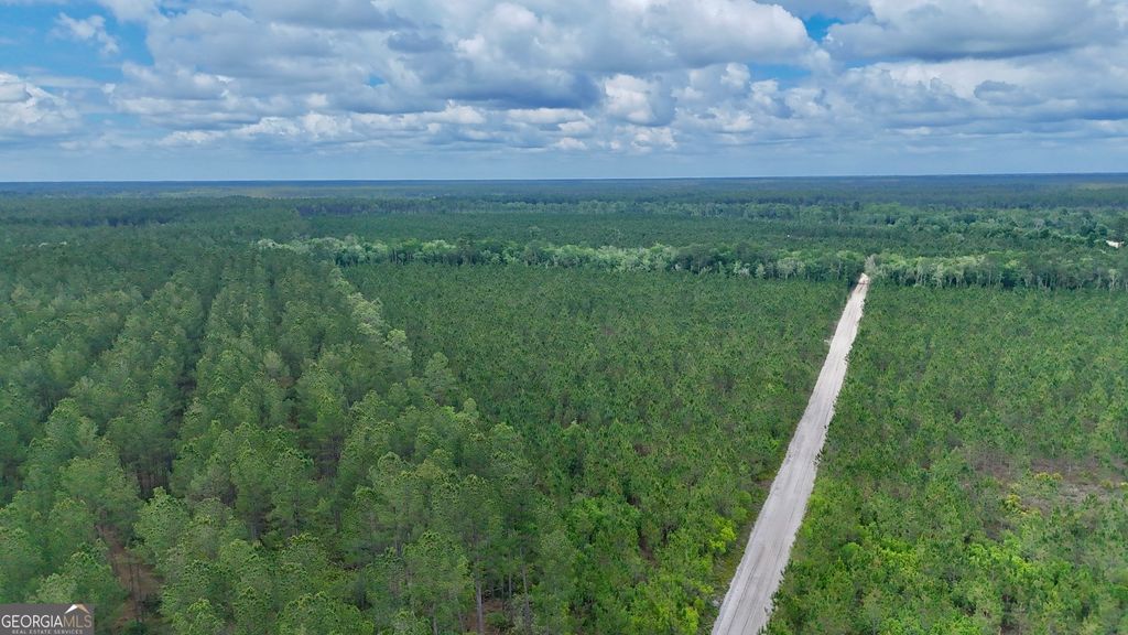 Photo of 20 Owens Road, Odum, GA 31555 (MLS # 10768673)