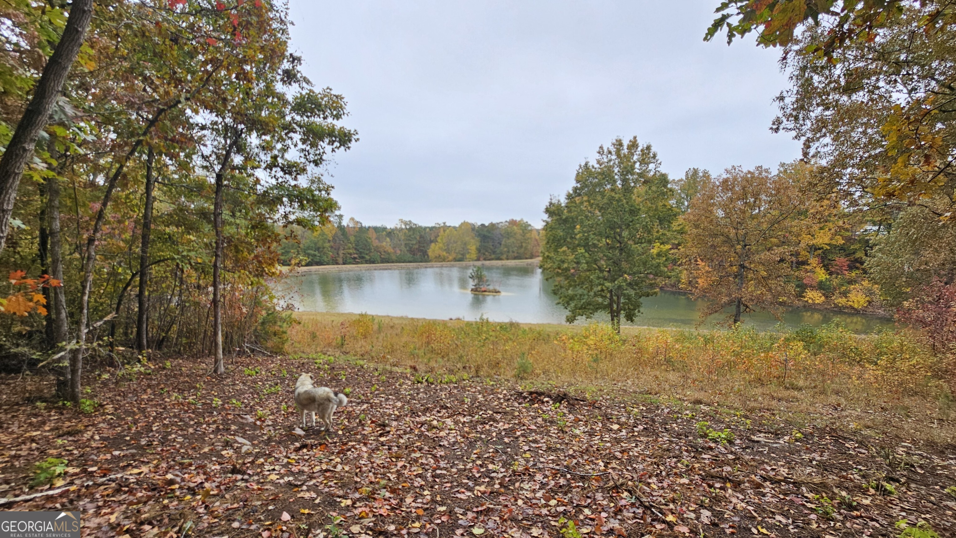 LOT 1 Snote Jones RD