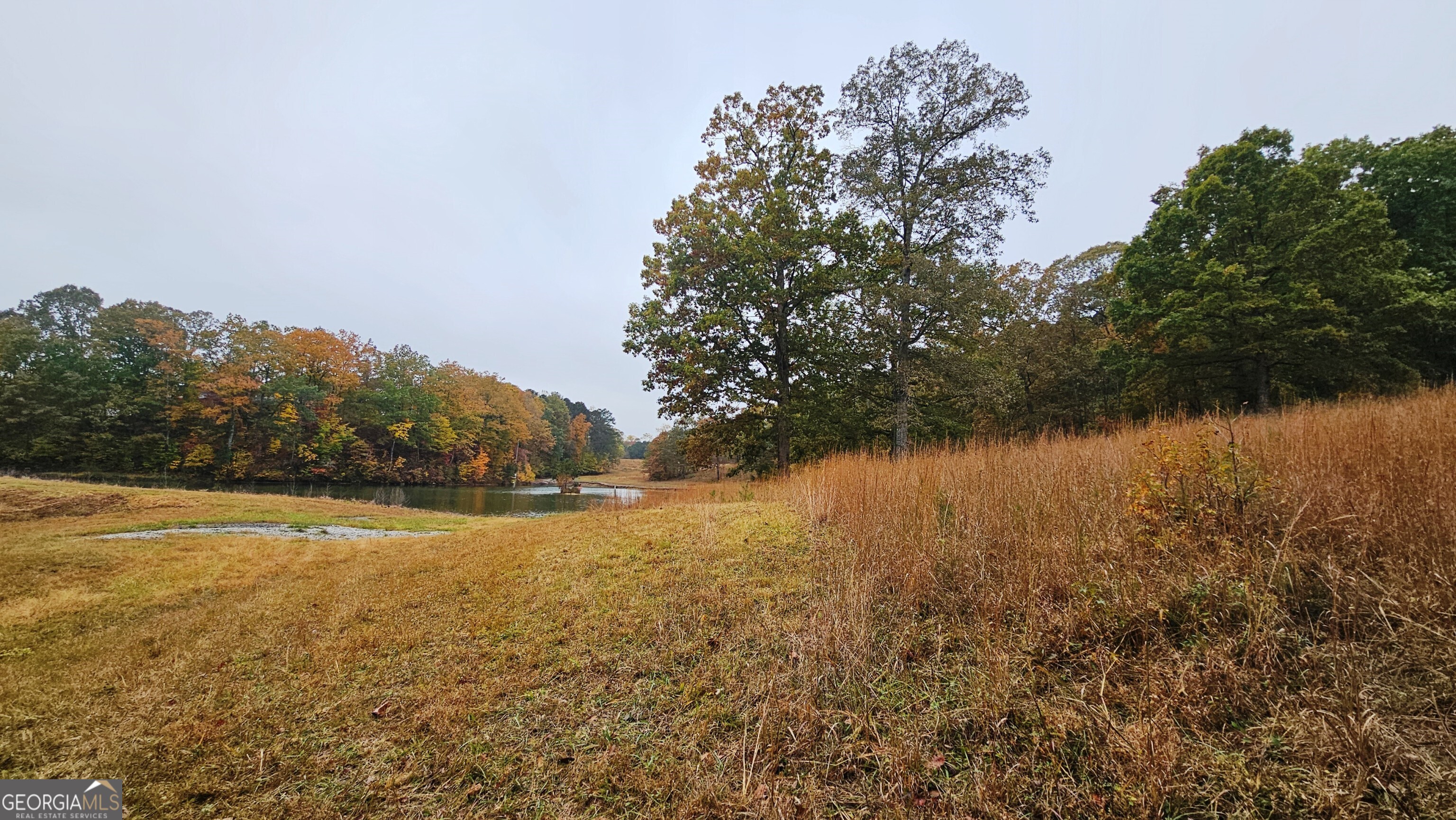 LOT 1 Snote Jones RD