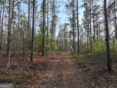 Photo of 195 County Line Road, Lumpkin, GA 31815 (MLS # 10828160)