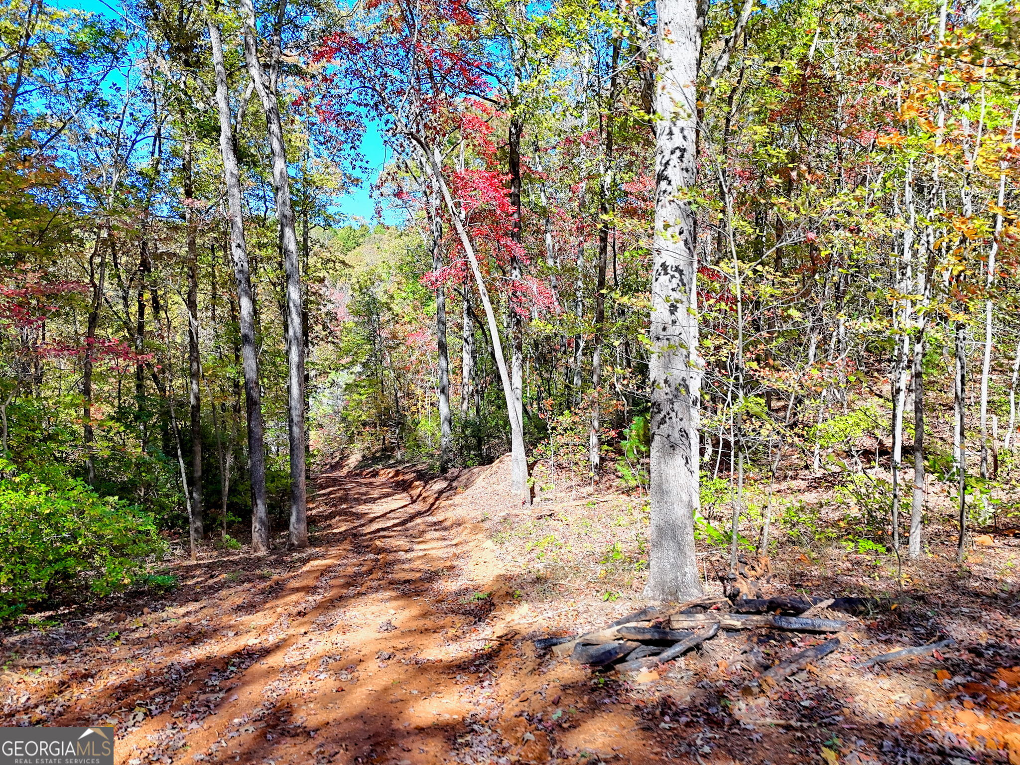 Clayton, Georgia 30525, United States, ,Land,Active,238634