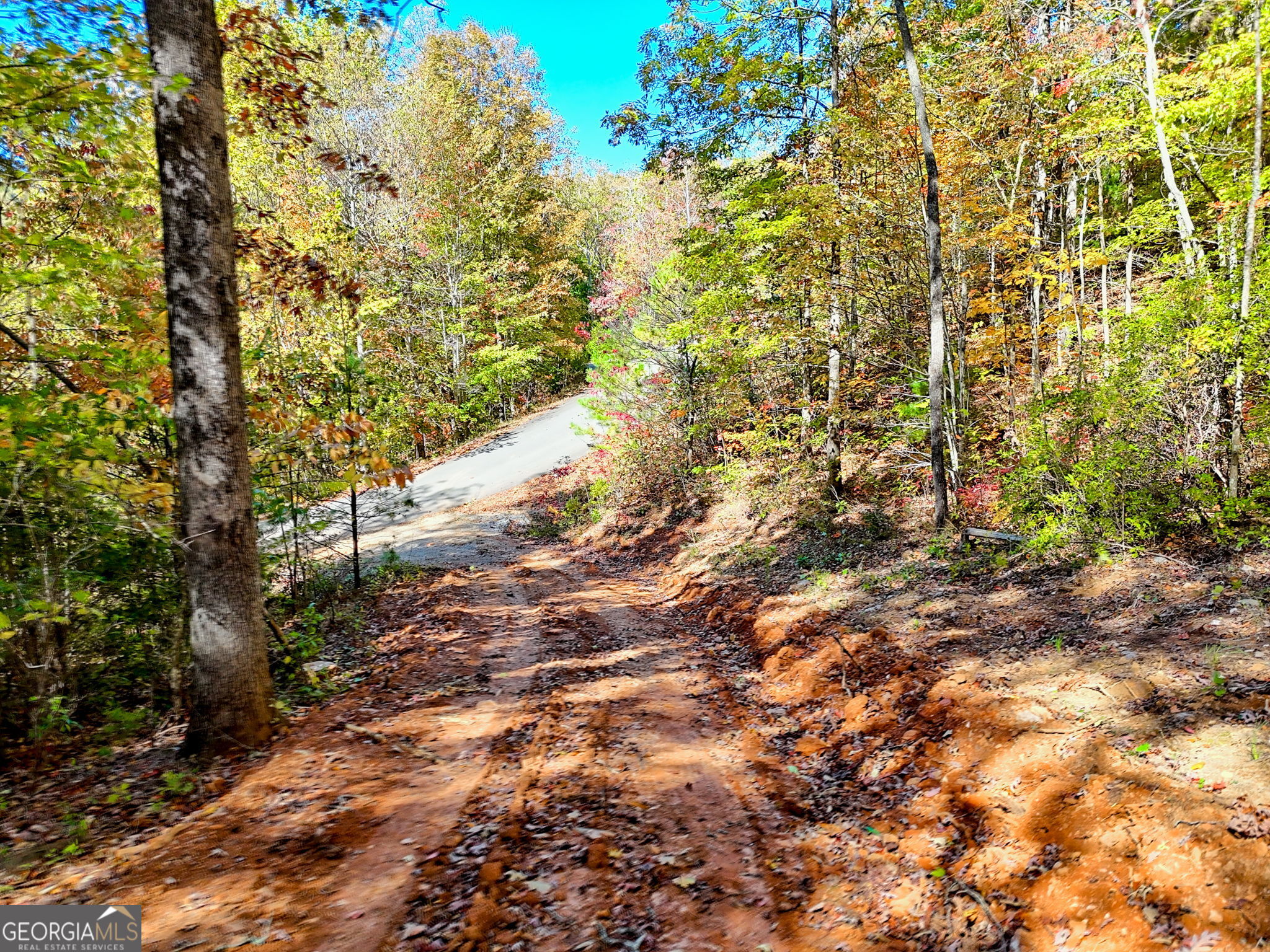 Clayton, Georgia 30525, United States, ,Land,Active,238634