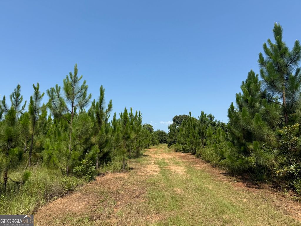 Photo of 2 Barge Rd, Lumpkin, GA 31815 (MLS # 10807338)