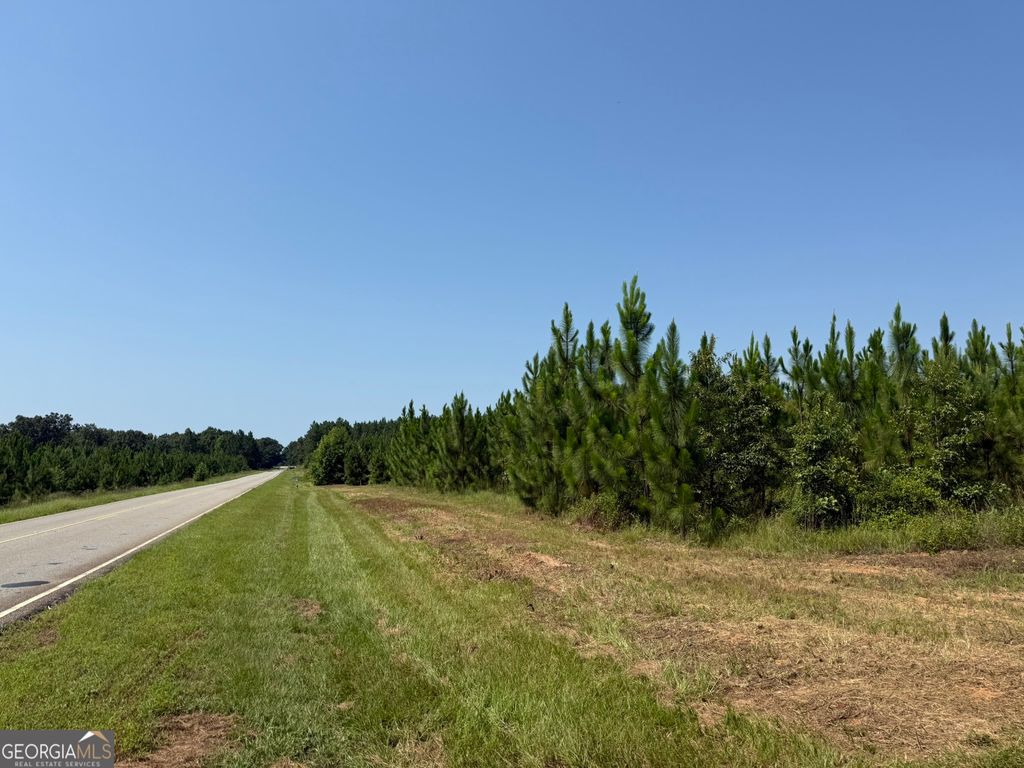 Photo of 2 Barge Rd, Lumpkin, GA 31815 (MLS # 10807338)