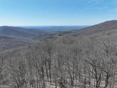 243 Dragon TRL Ellijay GA 30536