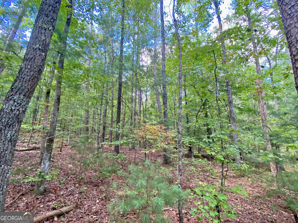 152AC Whitepath Road