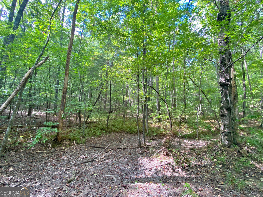 152AC Whitepath Road