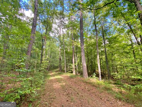 152AC Whitepath Road Ellijay GA 30540
