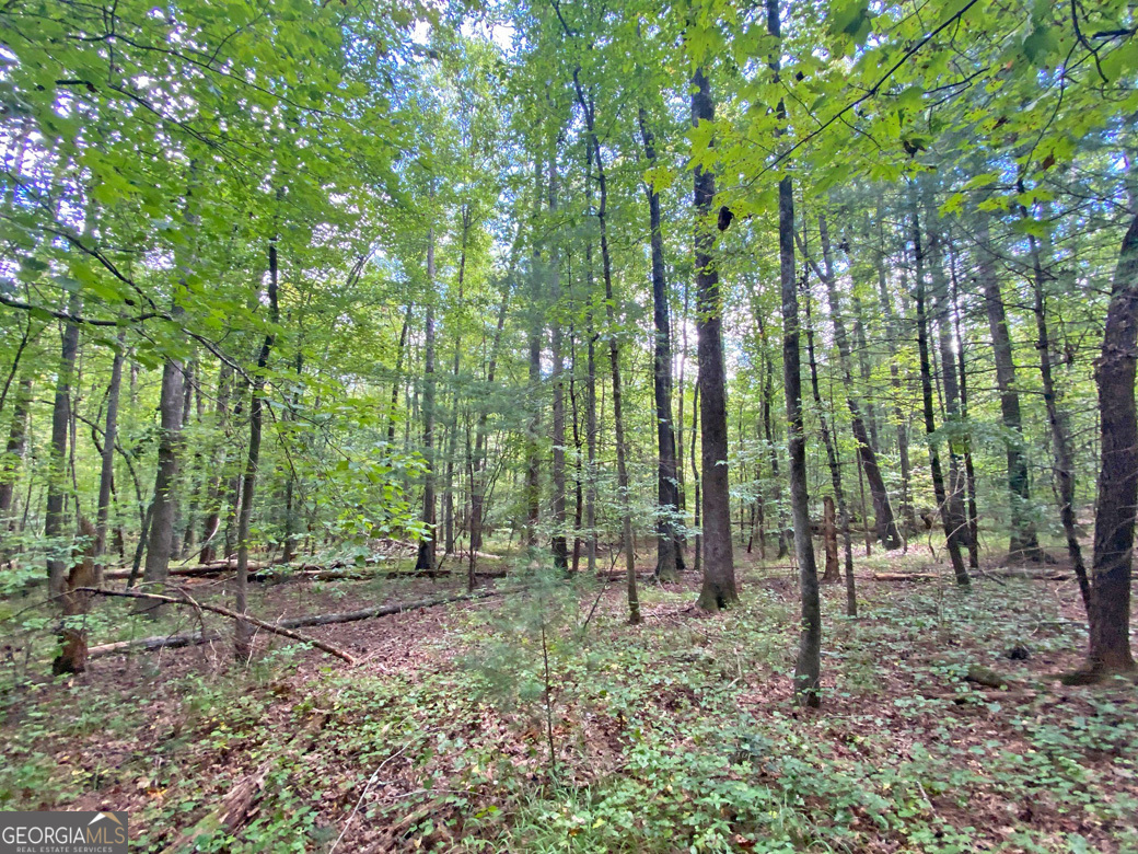 152AC Whitepath Road