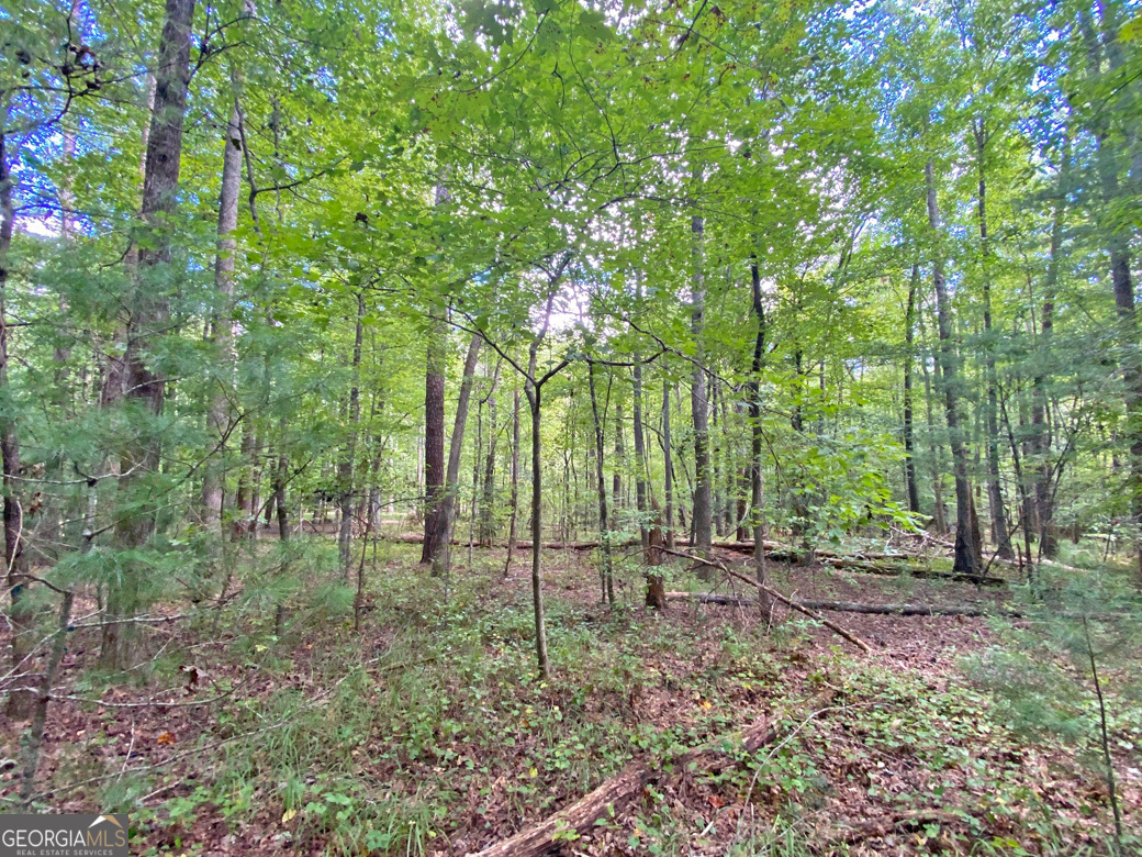 152AC Whitepath Road