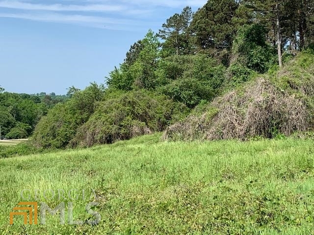 Photo 9 of 12 of 4167 Cleveland HWY land