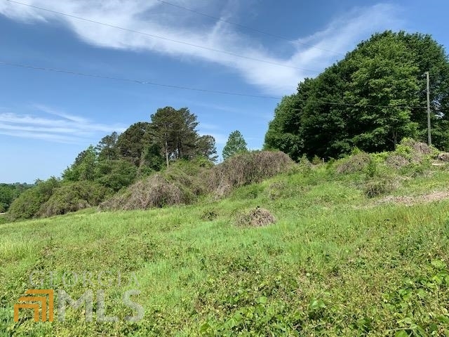 Photo 8 of 12 of 4167 Cleveland HWY land