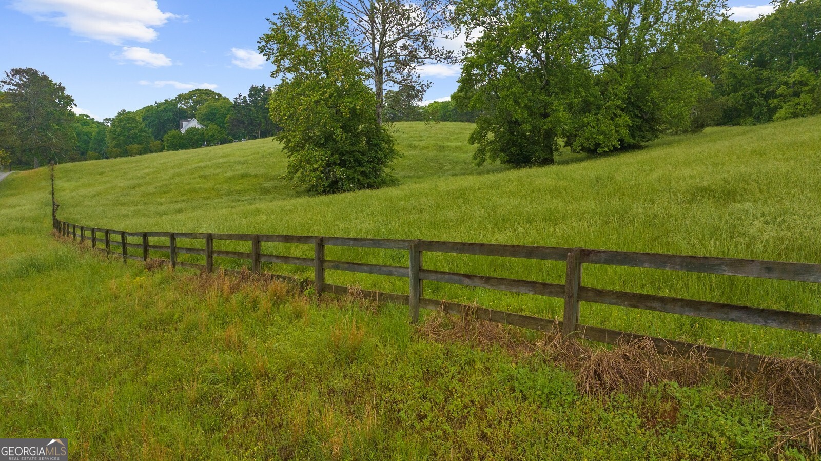 Arbor Hill - Residential