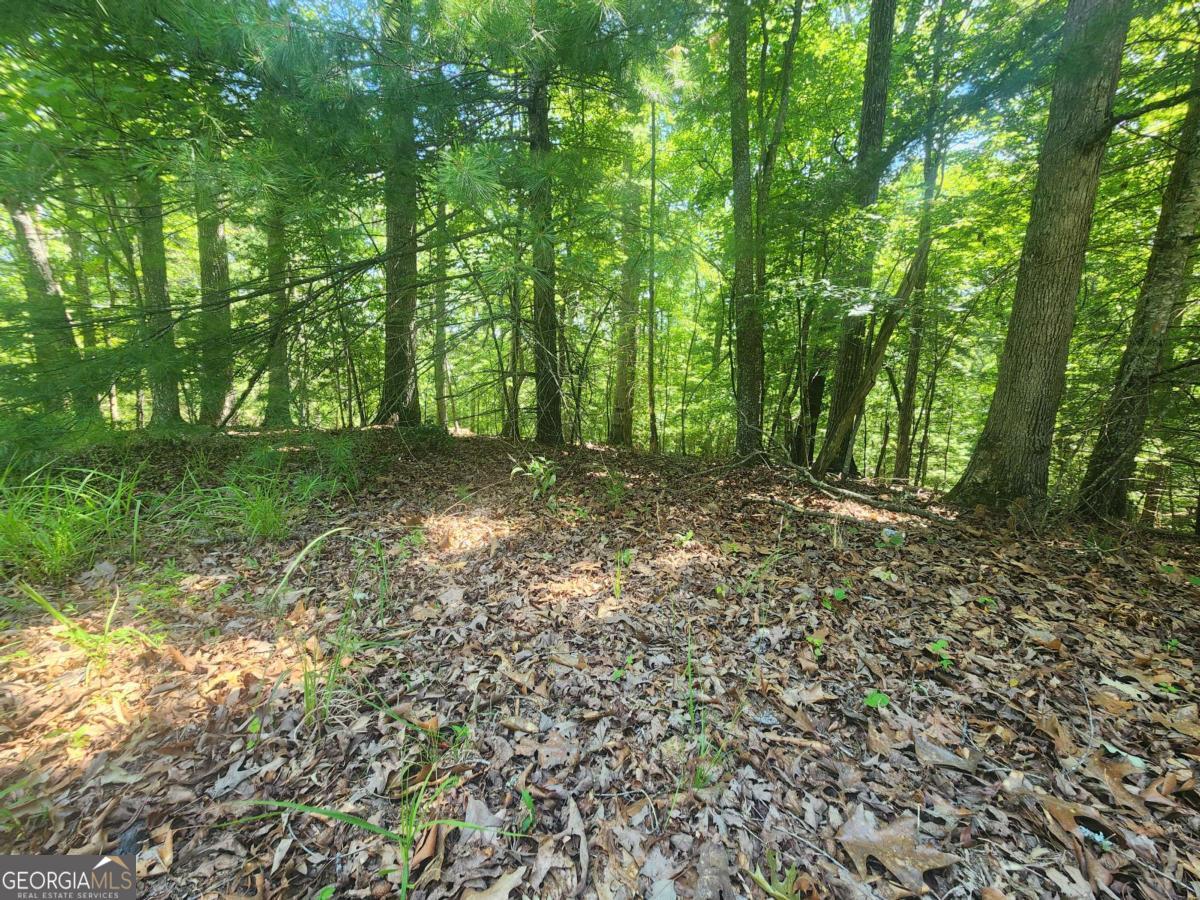 LOT 3 Meadow View DR 3