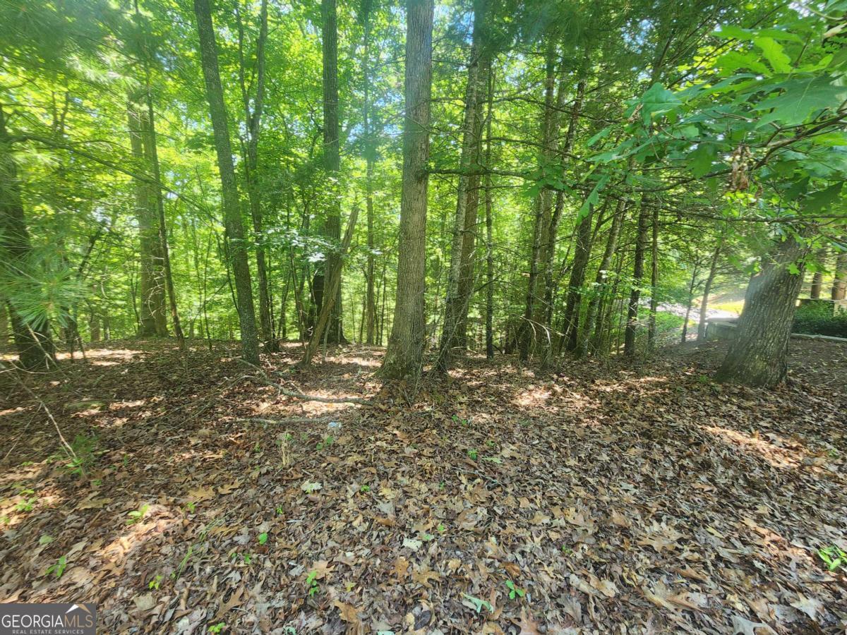 LOT 3 Meadow View DR 3