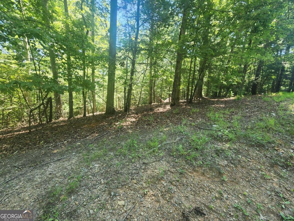 Photo of 3 Meadow View Drive #3, Morganton, GA 30560 (MLS # 10725309)