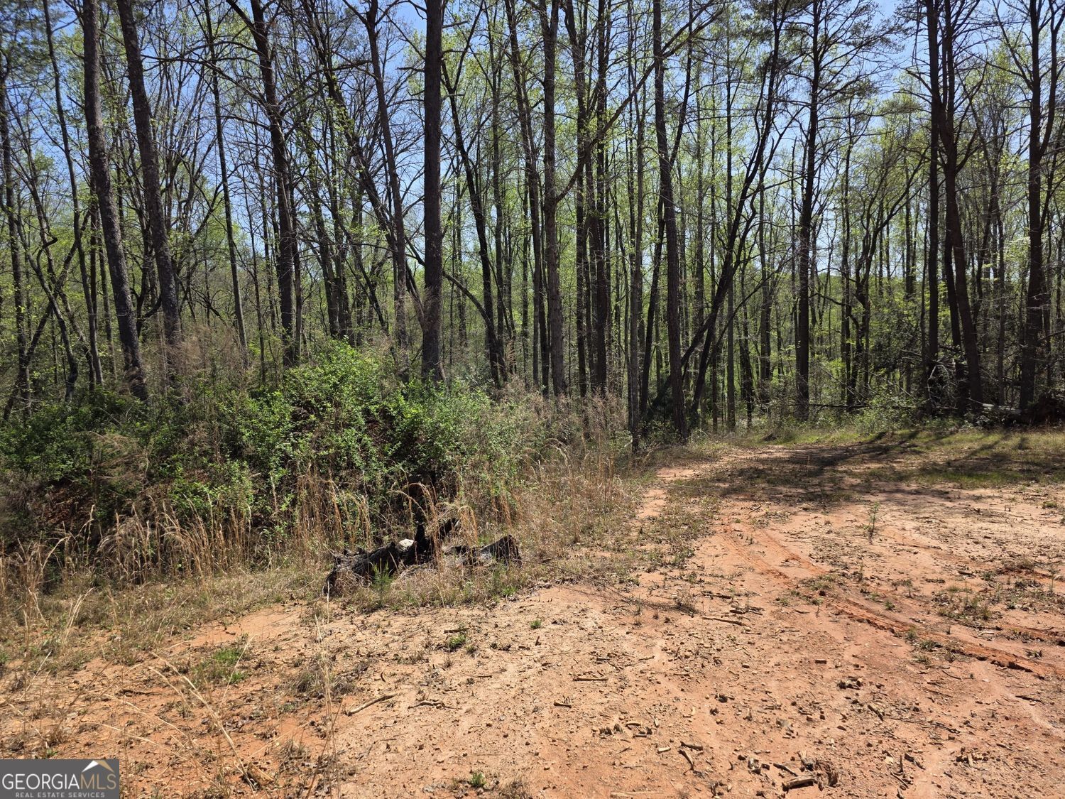 0 THURMOND ROAD 8.64 ACRES RD