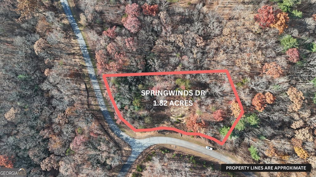 Photo of 197 Springwinds Drive, Cleveland, GA 30528 (MLS # 10772810)