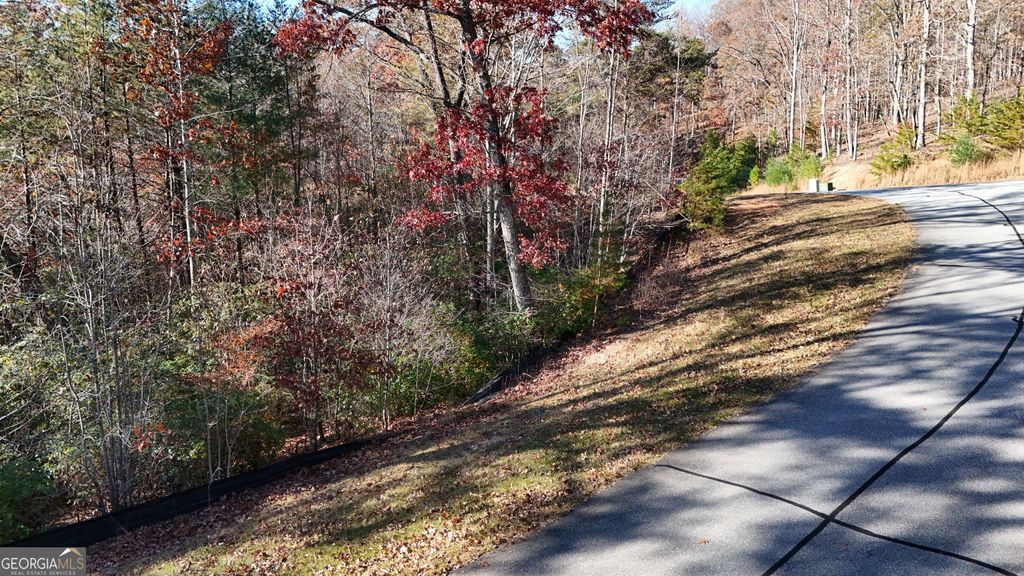 Photo of 197 Springwinds Drive, Cleveland, GA 30528 (MLS # 10772810)