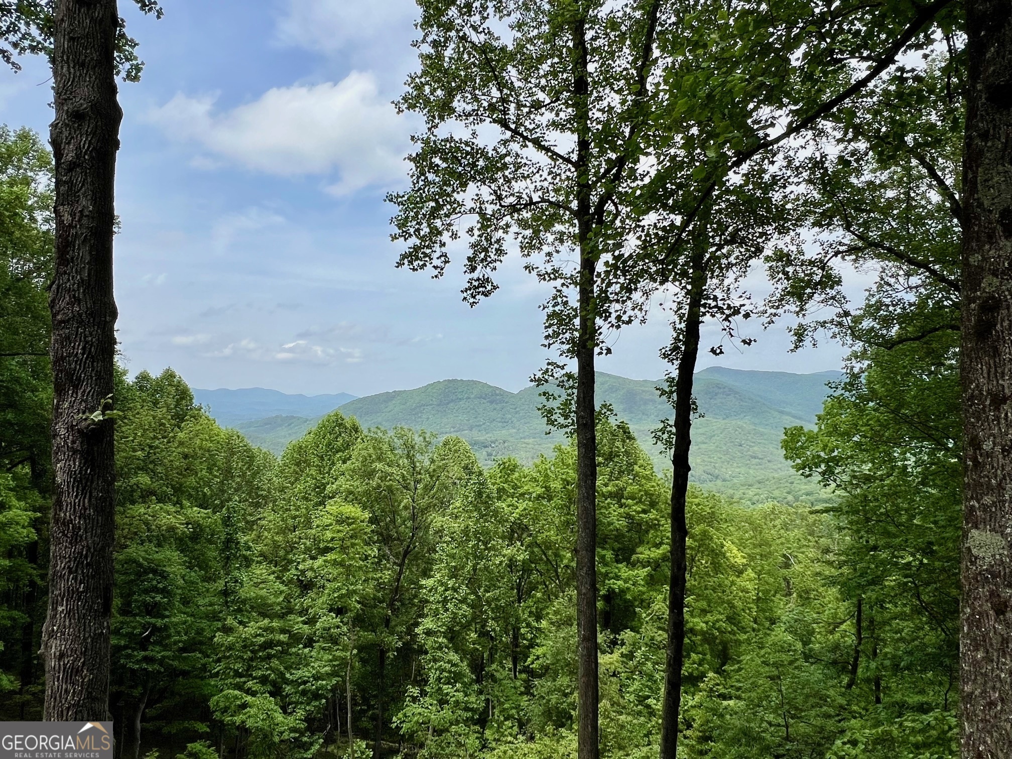 Discover Your Slice of Paradise in Walnut Mountain. Escape to the serene beauty of the North Ga Mountains with this premium lot, featuring BREATHTAKING RIDGE TOP Mountain Views! This gated community offers a wealth of amenities for your enjoyment. Paved access to your dream home. Enjoy a refreshing dip in the pool, play tennis or pickleball on well-maintained courts, or unleash your furry friend in the new dog park. Kids will enjoy the playground, and everyone can gather in the clubhouse for social events. Explore four stunning lakes and a dedicated area perfect for family outings. Turniptown Creek flows through the community, enhancing it's natural charm. Benefit from a conveniently located mail kiosk & storage for your RV, boat, or trailer. Just minutes away from the charming town of Ellijay, this property is not just land; its a lifestyle waiting for you! Don't miss the chance to make this beautiful community your own! No Mobile Homes or Campers Allowed