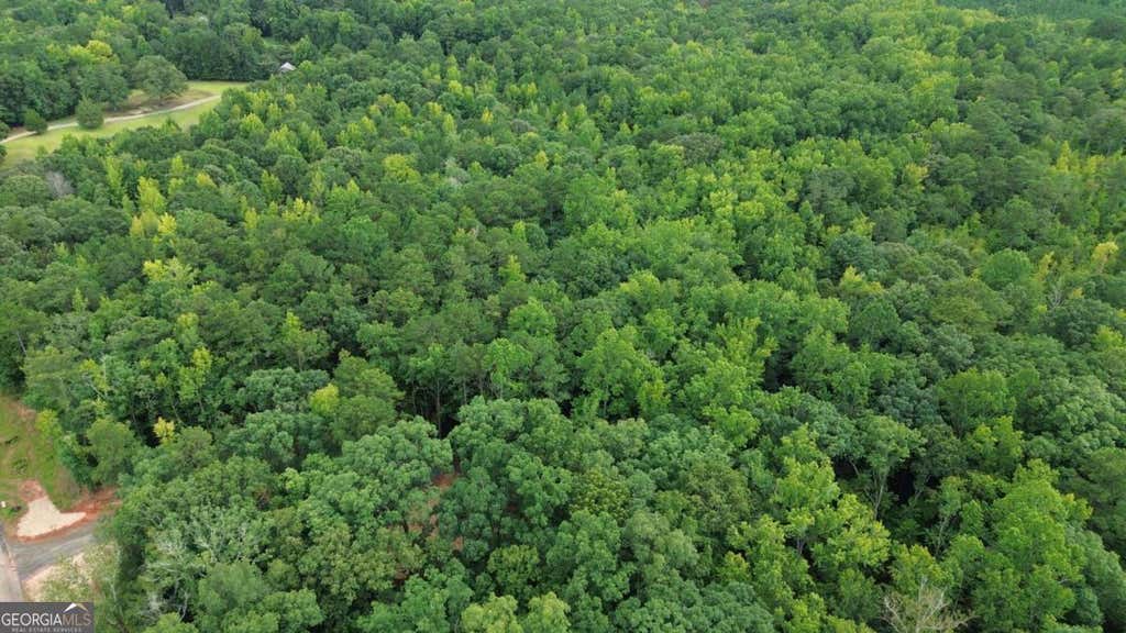 Photo of 0 Roosevelt HWY - 20.58 Acres, Warm Springs, GA 31830 (MLS # 10828367)