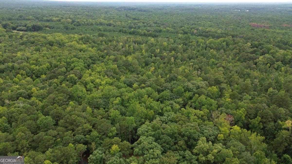 0 Roosevelt HWY - 20.58 Acres