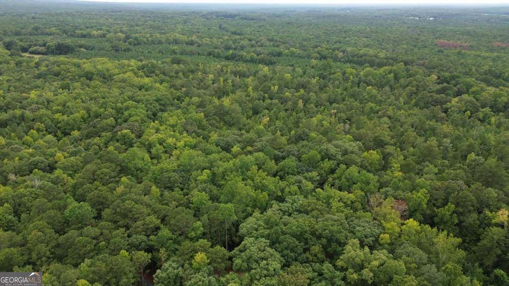 Photo of 0 Roosevelt HWY - 20.58 Acres, Warm Springs, GA 31830 (MLS # 10828367)