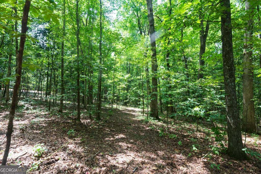 Photo of 0 Roosevelt HWY - 20.58 Acres, Warm Springs, GA 31830 (MLS # 10828367)