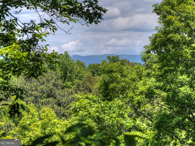 565 Catawba CIR